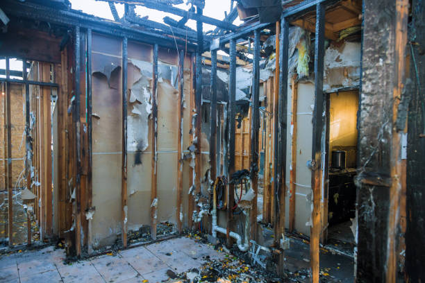 Professional Fire Damage Removal technician working in North Bend, WA