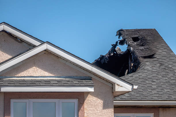 Top rated local Fire Damage Removal specialists in North Bend, WA